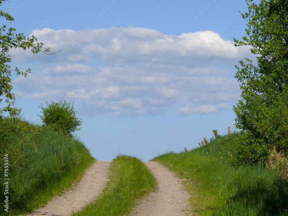 Feldweg im Frühjahr