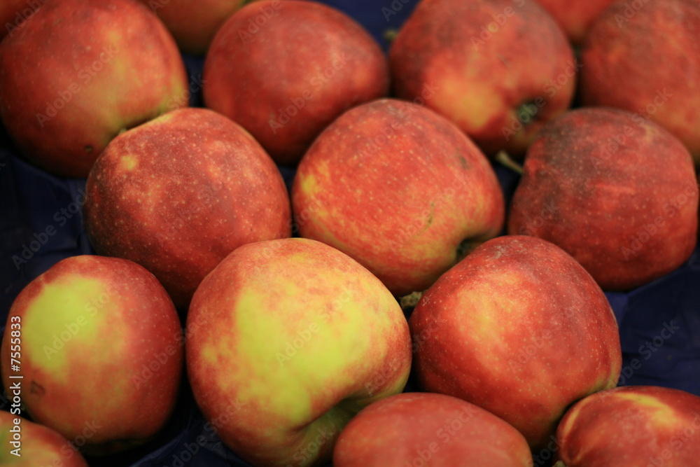 Apples Apples
