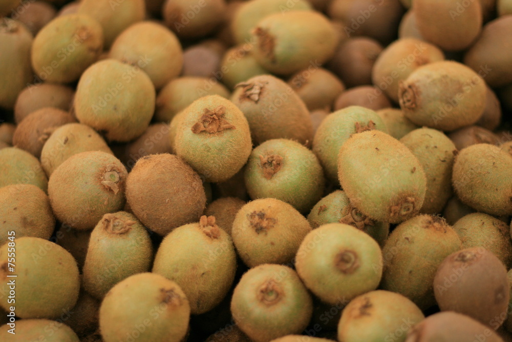 fresh kiwi fresh kiwi