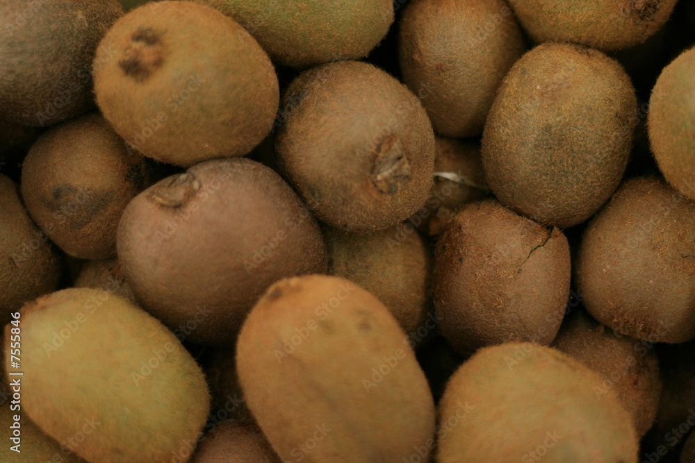 slack of kiwi