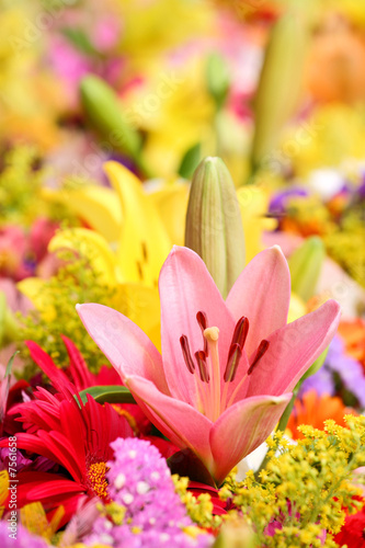 Flowers background