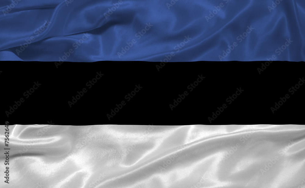 Estonia Flag 3 Estonia Flag 3