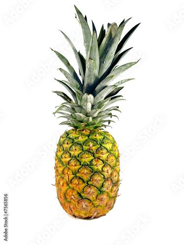 Single pineapple © Mauro Rodrigues