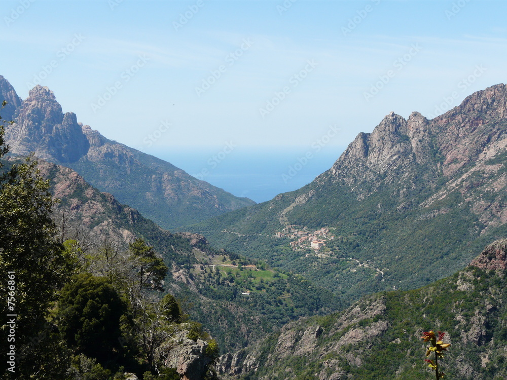 Naklejka premium ota