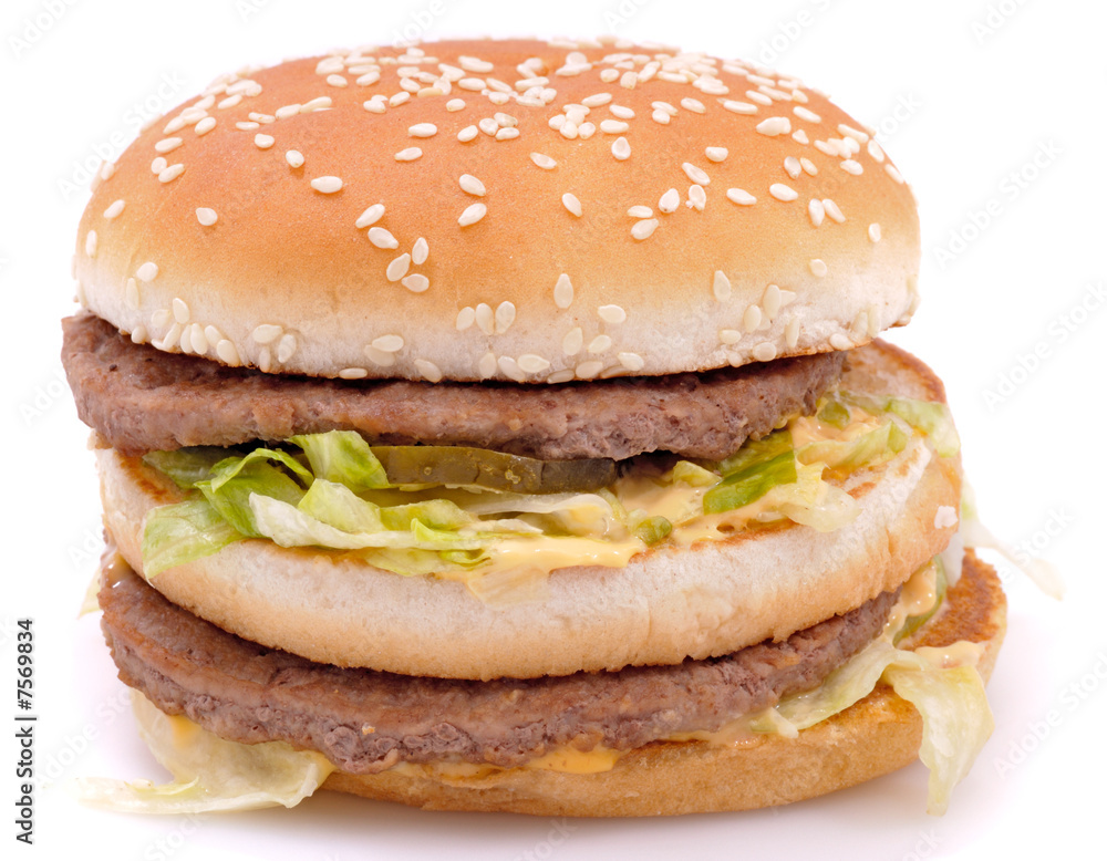 Delicious juicy cheeseburger/hamburger Delicious juicy cheeseburger/hamburger