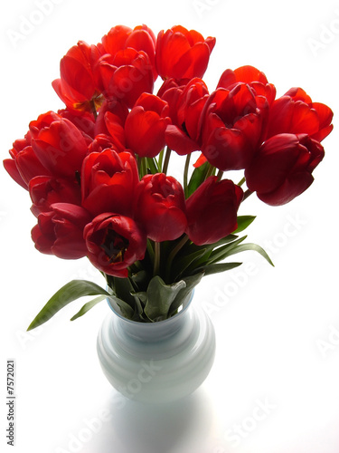 Wallpaper Mural Red tulips in a vase Torontodigital.ca