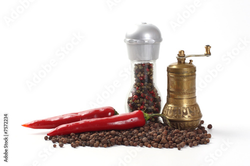 Obraz na płótnie pepper mills w salonie