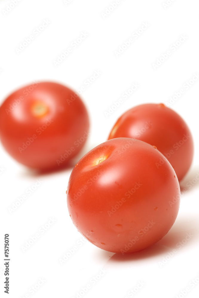 tomatoes tomatoes
