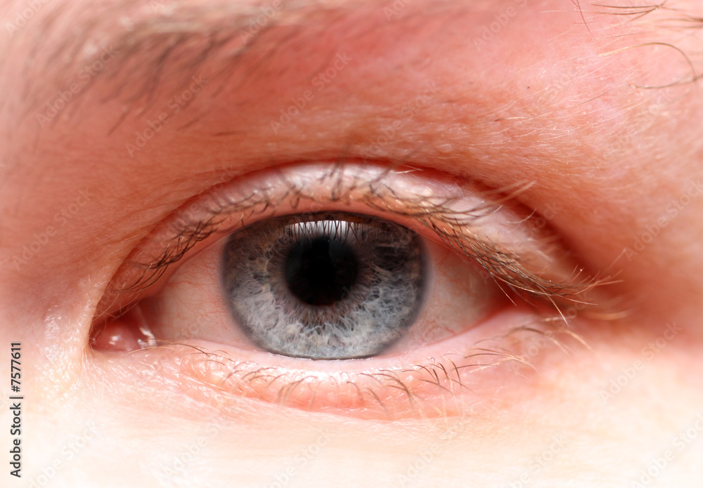 Obraz premium women eye