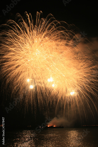 yellow fury fireworks