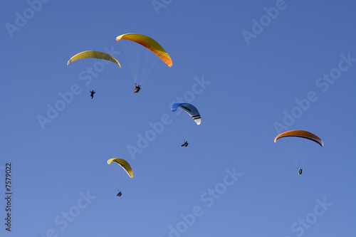 Paragliders flying in formation