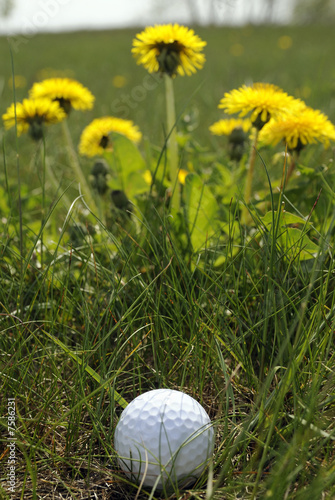 Golf ball