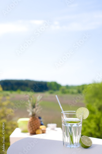 gin and tonic