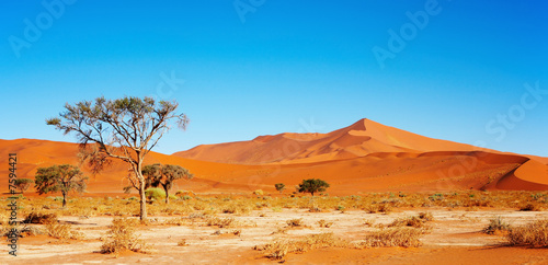Namib Desert photo