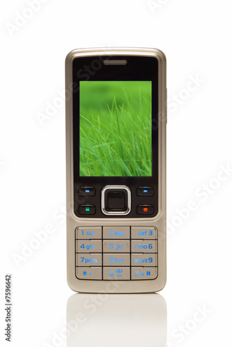 Cellphone with environmental grass on screen