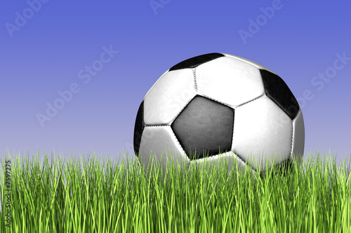 Fußball im Gras © Phoenixpix