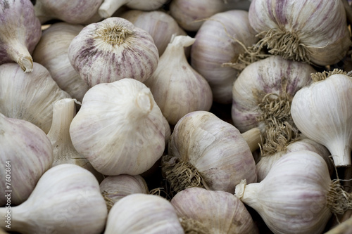 Stock photo of garlic