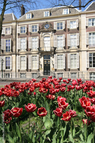 Spring in The Hague