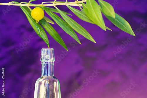 Aceite del Olivo
