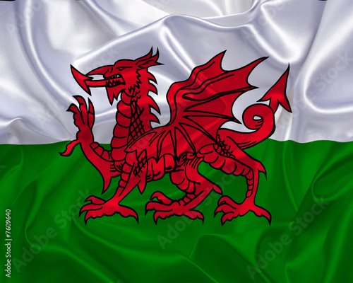 Welsh Flag