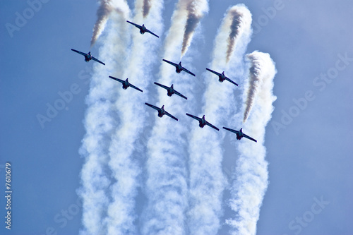 The Snowbirds Demonstration Team