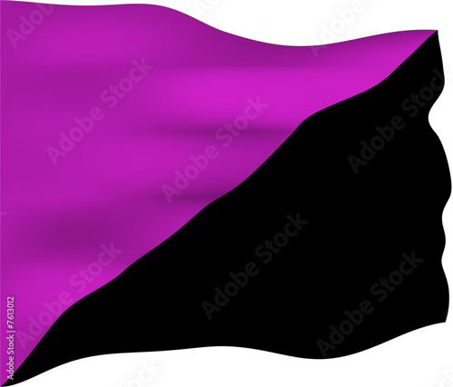 Anarchist Feminism Flag photo