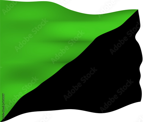 Bilde på lerret Green Anarchism Flag
