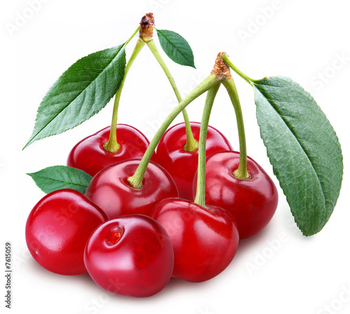 Cherry; object on a white background