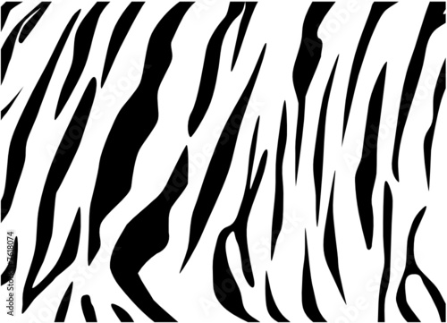 Vector -tiger texture Black and White