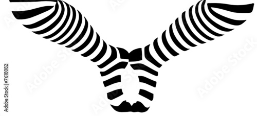 vector - legs in stripped socks