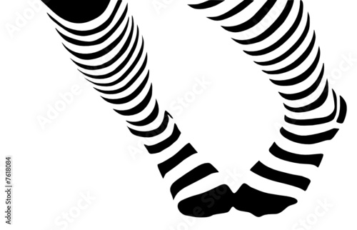 vector - legs in stripped socks