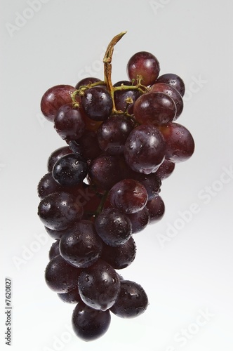 the bunch of grapes