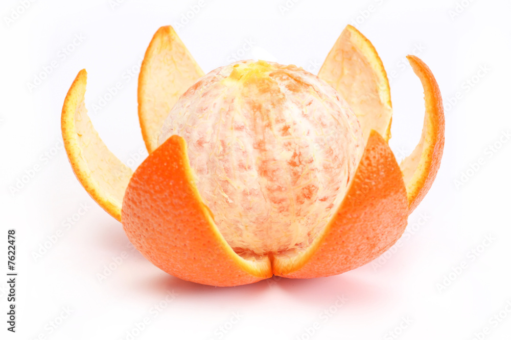 fresh orange