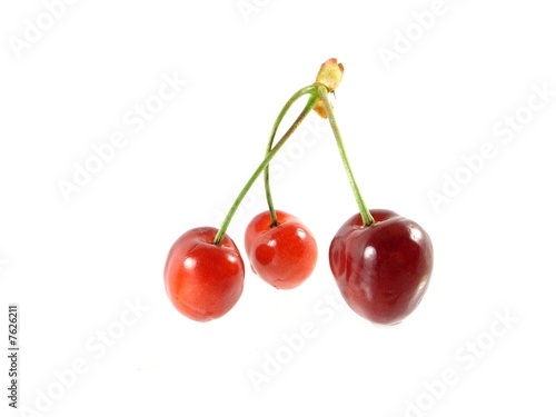 cherry 