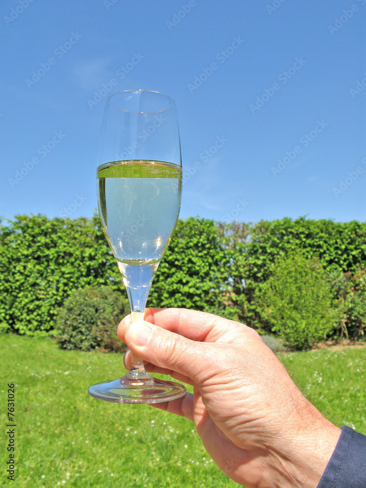 Glas of Champagne in the garden
