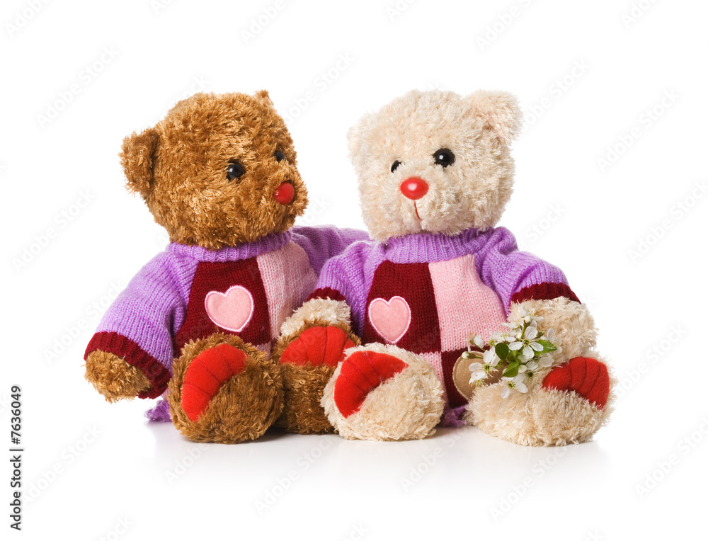 Two loving teddy bears