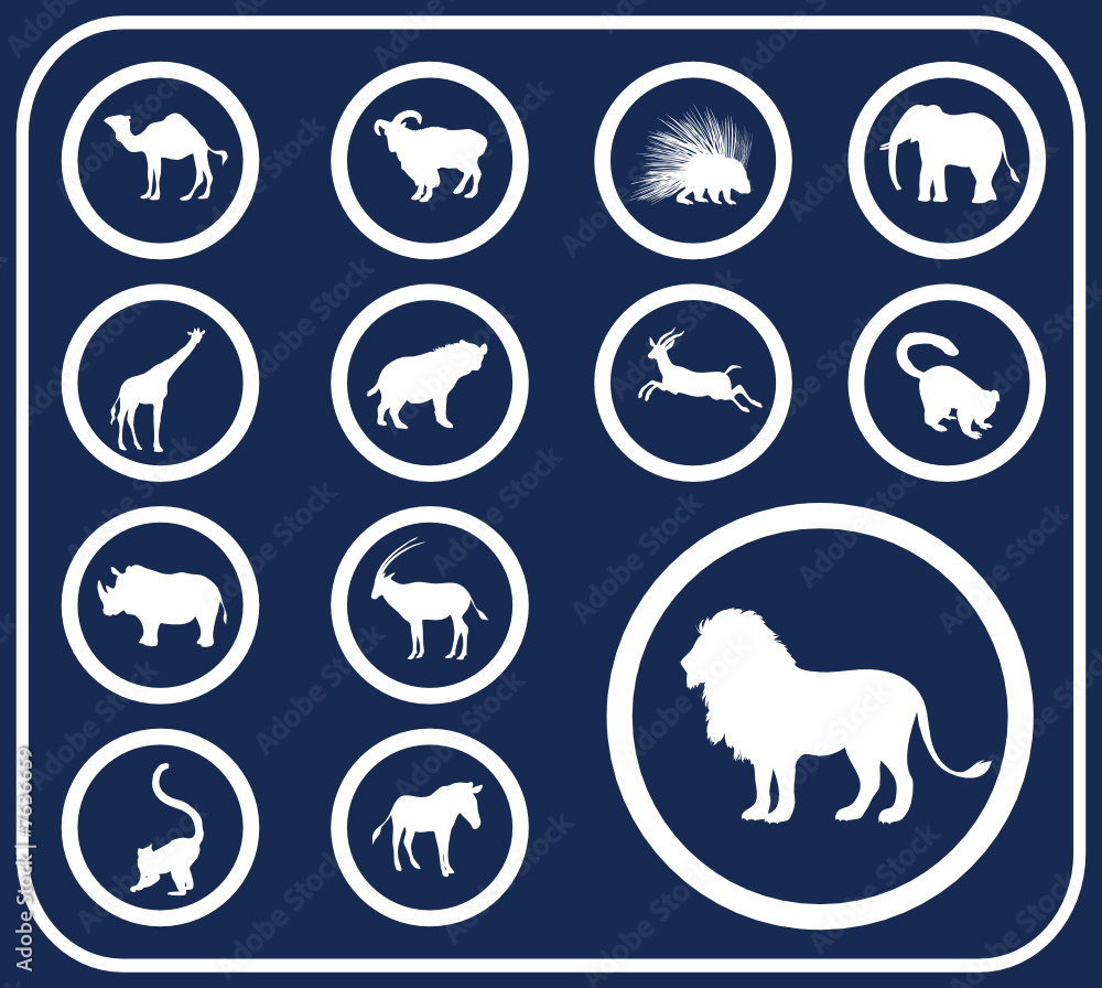 Set buttons. Animals Set buttons. Animals