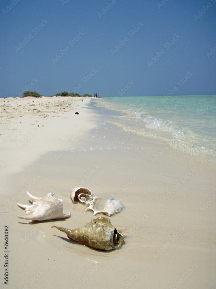 Obraz premium Einsamer Strand