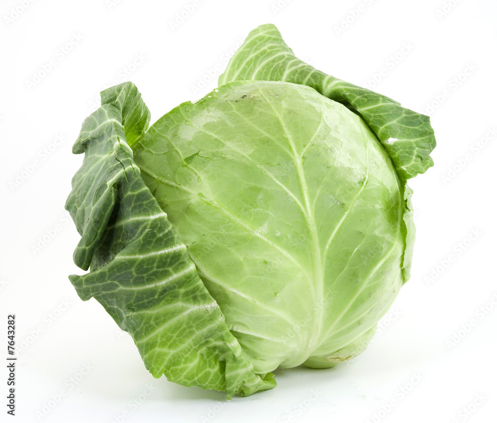cabbage cabbage