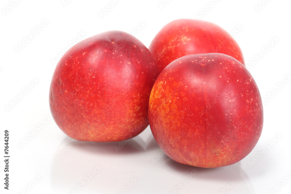 nectarina