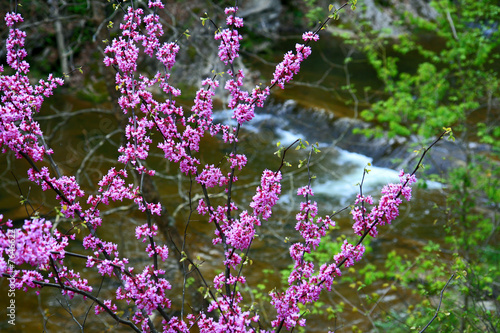 Water streams and cascades photo