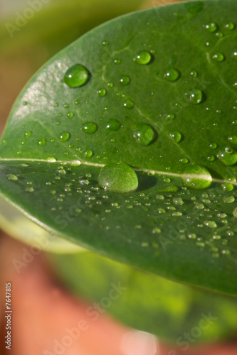wassertropfen
