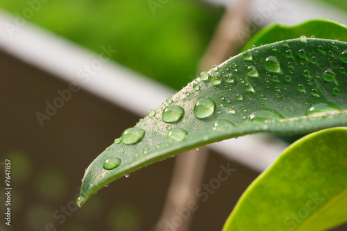 Wassertropfen