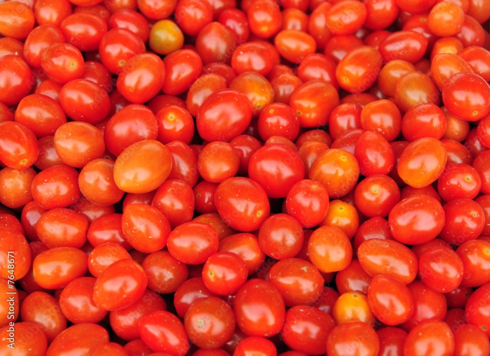 mini tomato mini tomato