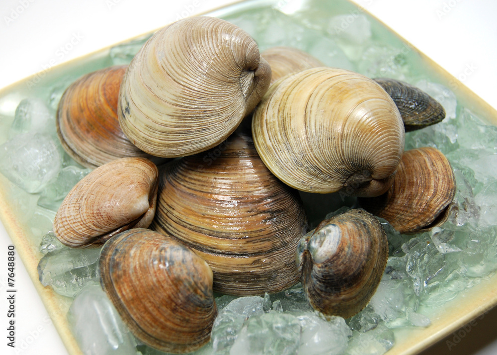 clams on ice clams on ice