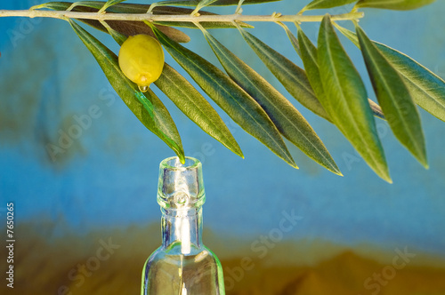 Aceite del Olivo