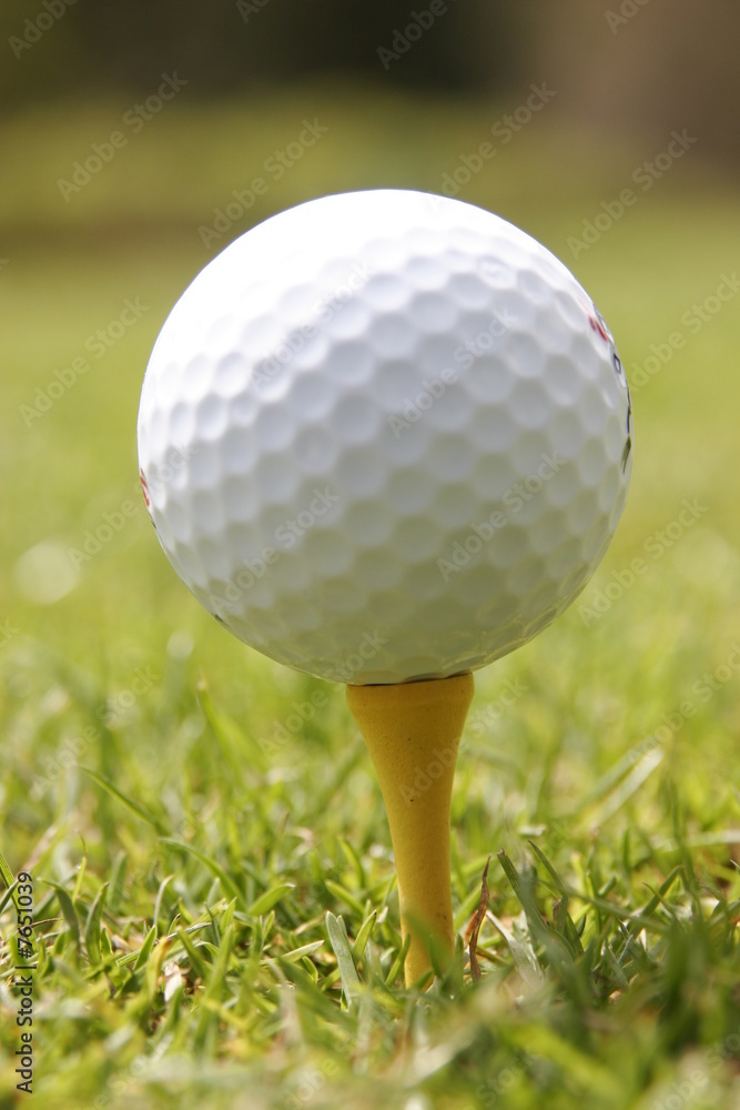 golf play  on a sunny day