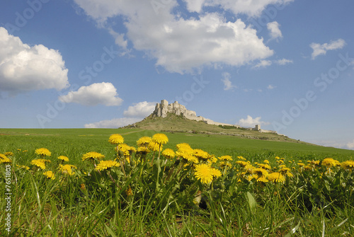 Medieval castle in Europe