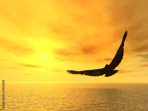 soaring eagle