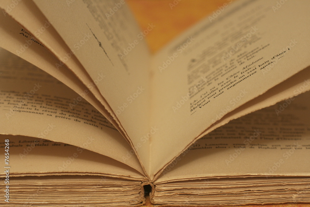 Obraz premium Livre ouvert
